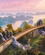 森林舞会连线机-森林舞会连线机，自然与科技的和谐交响曲